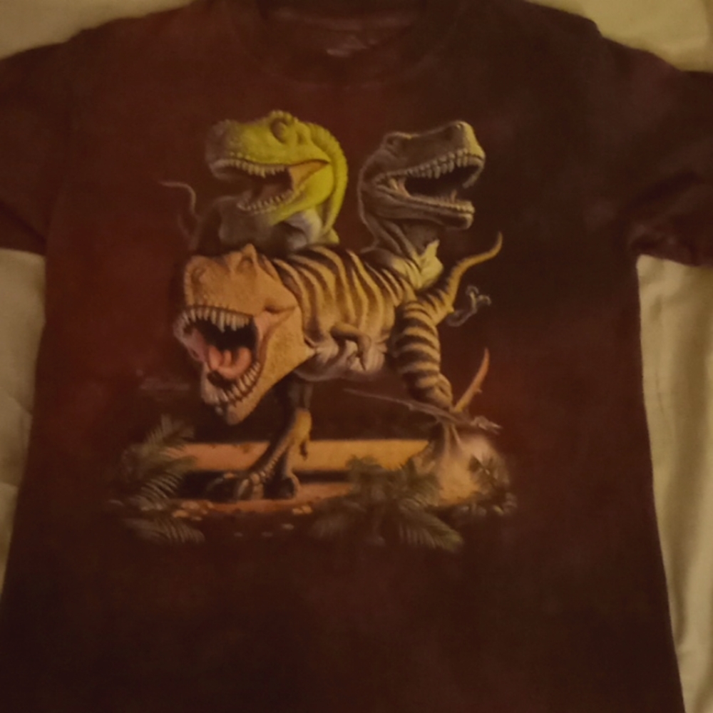 Vintage the mountain trex graphic shirt